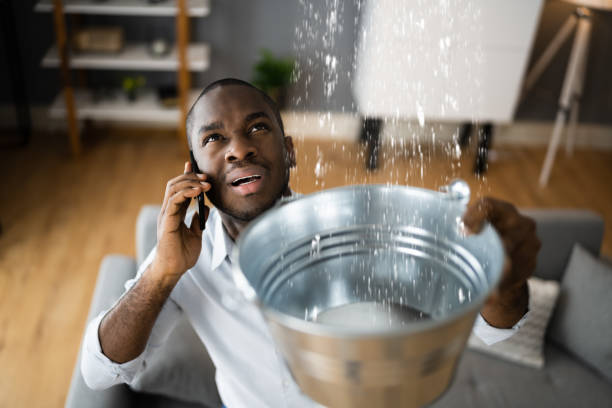 Best Local water damage restoration  in Fairland, OK