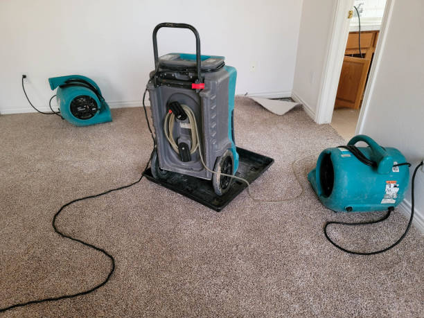 Best 24/7 water damage repair  in Fairland, OK