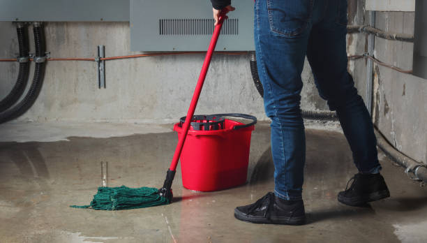 Best Basement water damage restoration  in Fairland, OK