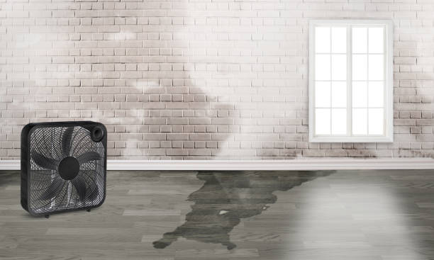 Best Flood restoration services  in Fairland, OK