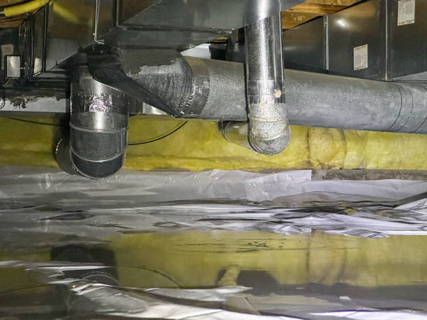 Best Carpet water damage restoration  in Fairland, OK