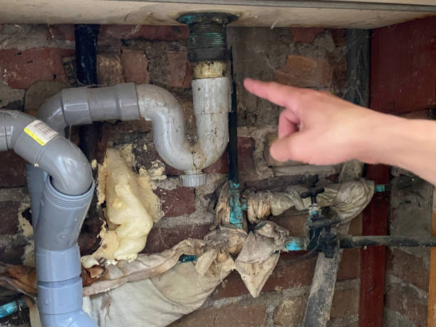 Best Mold removal after water damage  in Fairland, OK